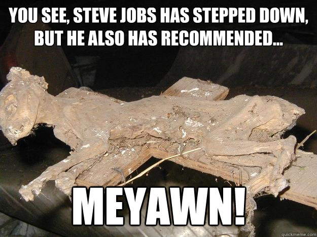 You see, Steve jobs has stepped down, but he also has recommended... MEYAWN! - You see, Steve jobs has stepped down, but he also has recommended... MEYAWN!  Uninterested Mummy Cat