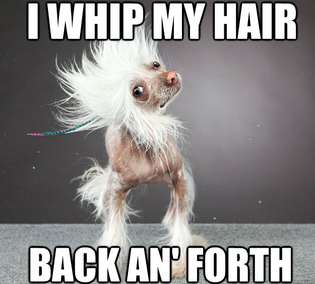 I WHIP MY HAIR BACK AN' FORTH - I WHIP MY HAIR BACK AN' FORTH  Whipdog