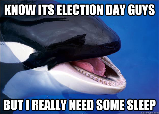 know its election day guys but i really need some sleep  Orca Fail Whale