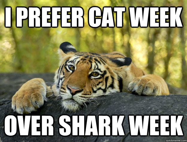 i prefer cat week  over shark week - i prefer cat week  over shark week  Misc