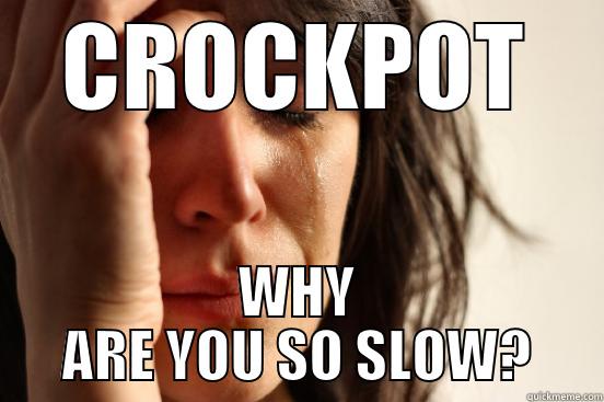 CROCKPOT WHY ARE YOU SO SLOW? First World Problems
