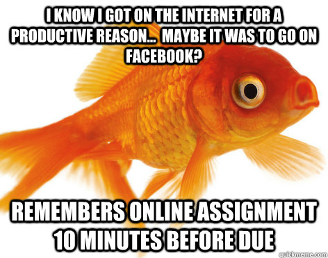 I know I got on the internet for a productive reason...  Maybe it was to go on facebook? remembers online assignment 10 minutes before due  Forgetful Fish