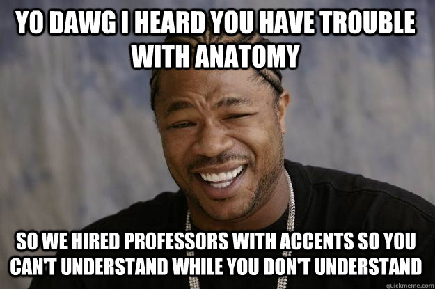 YO DAWG I HEARD YOU HAVE TROUBLE WITH ANATOMY so we hired professors with accents so you can't understand while you don't understand  Xzibit meme