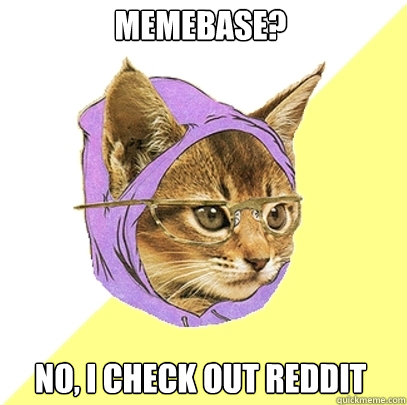 Memebase? no, i check out reddit  Hipster Kitty
