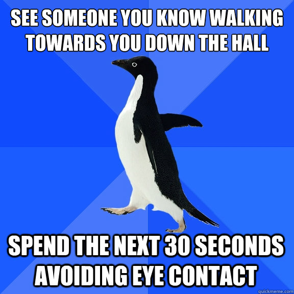 See someone you know walking towards you down the hall Spend the next 30 seconds avoiding eye contact    Socially Awkward Penguin