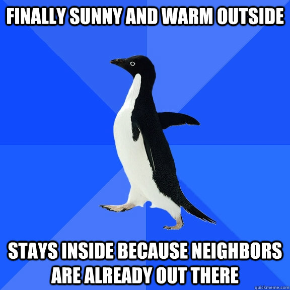 Finally sunny and warm outside stays inside because neighbors are already out there  Socially Awkward Penguin