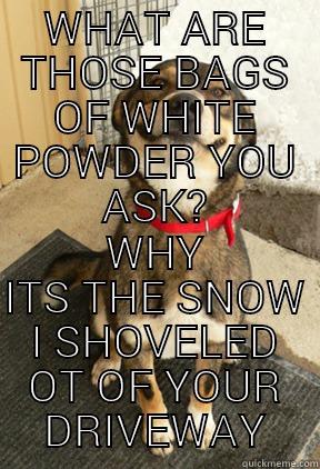 WHAT ARE THOSE BAGS OF WHITE POWDER YOU ASK? WHY ITS THE SNOW I SHOVELED OT OF YOUR DRIVEWAY Good Dog Greg