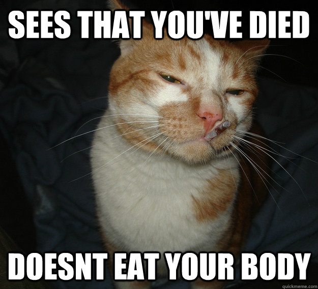 sees that you've died doesnt eat your body - sees that you've died doesnt eat your body  Cool Cat Craig