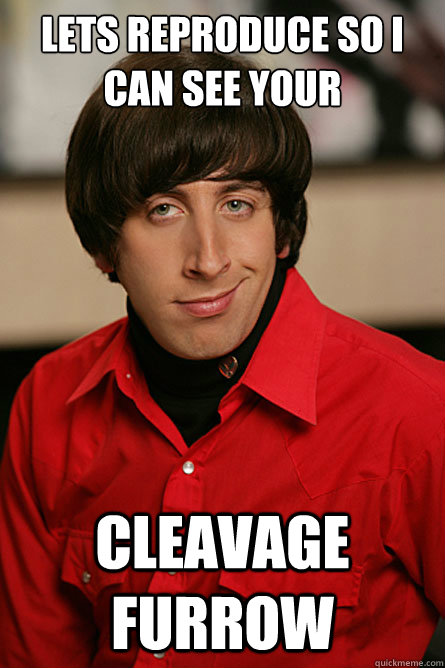 Lets reproduce so I can see your Cleavage furrow - Lets reproduce so I can see your Cleavage furrow  Pickup Line Scientist