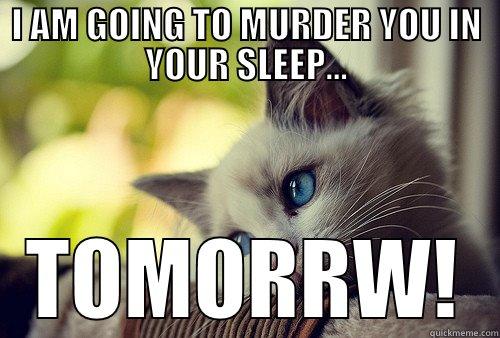 I AM GOING TO MURDER YOU IN YOUR SLEEP... TOMORRW! First World Problems Cat