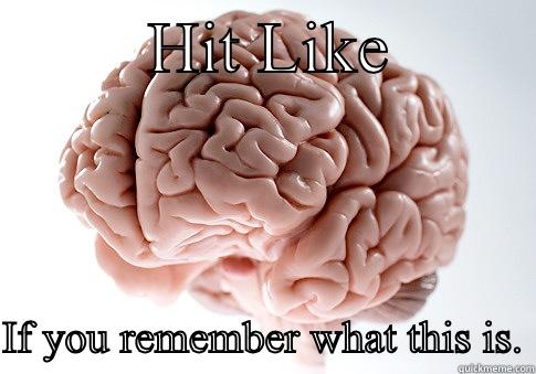         HIT LIKE          IF YOU REMEMBER WHAT THIS IS. Scumbag Brain