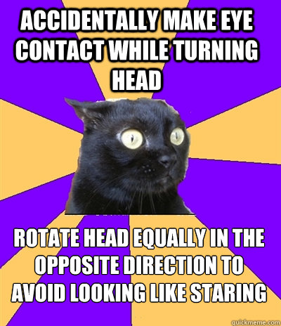 accidentally make eye contact while turning head  rotate head equally in the opposite direction to avoid looking like staring  - accidentally make eye contact while turning head  rotate head equally in the opposite direction to avoid looking like staring   Anxiety Cat