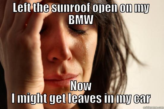 LEFT THE SUNROOF OPEN ON MY BMW NOW I MIGHT GET LEAVES IN MY CAR First World Problems