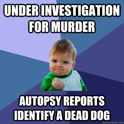 Under investigation for murder Autopsy reports identify a dead dog   Success Kid