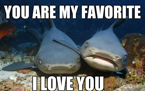 you are my favorite  i love you  Compassionate Shark Friend