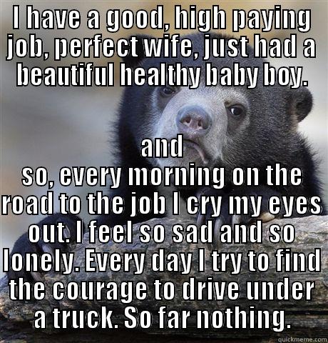 I HAVE A GOOD, HIGH PAYING JOB, PERFECT WIFE, JUST HAD A BEAUTIFUL HEALTHY BABY BOY. AND SO, EVERY MORNING ON THE ROAD TO THE JOB I CRY MY EYES OUT. I FEEL SO SAD AND SO LONELY. EVERY DAY I TRY TO FIND THE COURAGE TO DRIVE UNDER A TRUCK. SO FAR NOTHING. Confession Bear