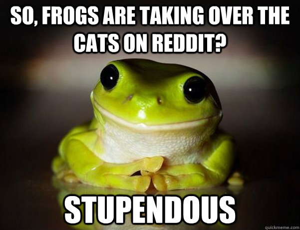 SO, FROGS ARE TAKING OVER THE CATS ON REDDIT? STUPENDOUS  Fascinated Frog