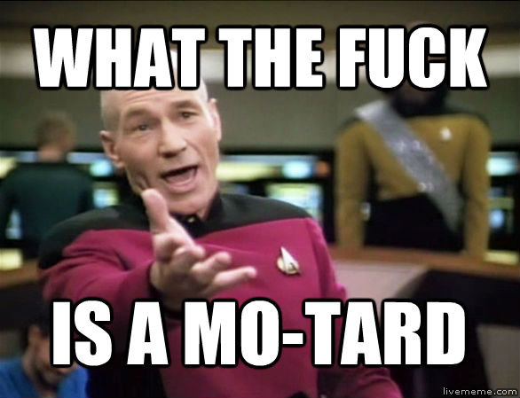 WHAT THE FUCK IS A MO-TARD  Annoyed Picard HD