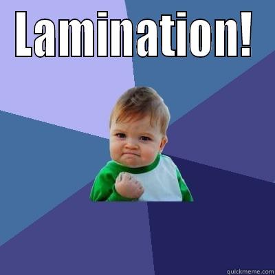 LAMINATION!  Success Kid