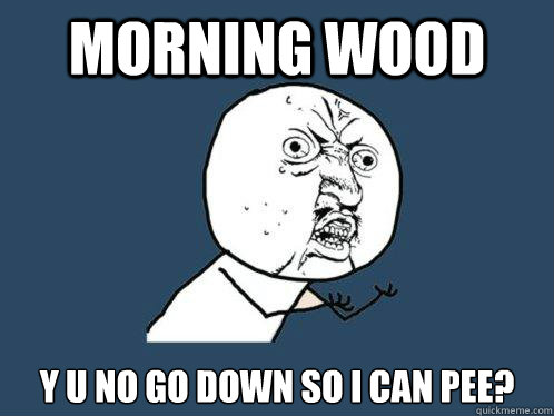 Morning Wood y u no go down so i can pee?  Y U No