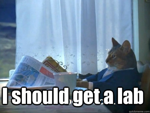  I should get a lab  Rich cat is rich