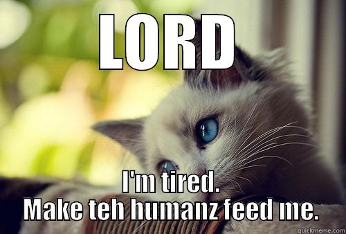 Lord cat - LORD I'M TIRED. MAKE TEH HUMANZ FEED ME. First World Cat Problems