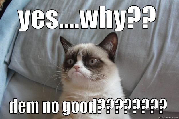 ai pate, u stupid - YES....WHY?? DEM NO GOOD???????? Grumpy Cat