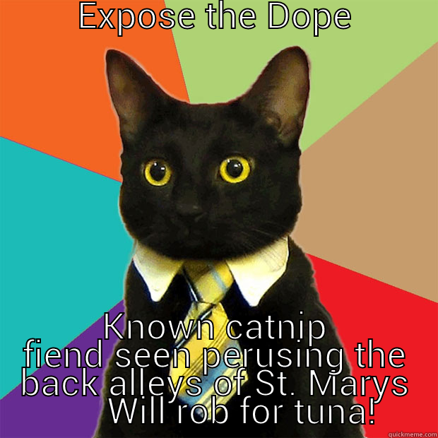 fiend funny -         EXPOSE THE DOPE                                      KNOWN CATNIP FIEND SEEN PERUSING THE BACK ALLEYS OF ST. MARYS       WILL ROB FOR TUNA! Business Cat