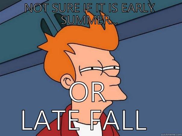 NOT SURE IF IT IS EARLY SUMMER... OR LATE FALL  Futurama Fry