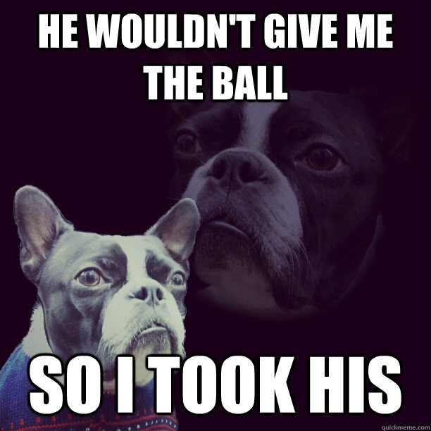 He Wouldn't Give Me The Ball So I Took His Vengeance Dog quickmeme