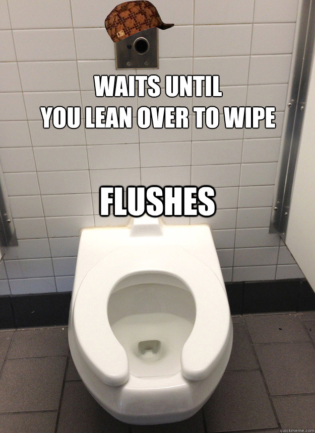 waits until 
you lean over to wipe flushes - waits until 
you lean over to wipe flushes  Misc