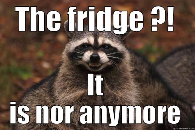 THE FRIDGE ?! IT IS NOR ANYMORE Evil Plotting Raccoon
