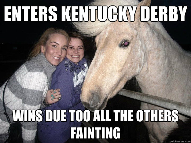 enters kentucky derby wins due too all the others fainting  - enters kentucky derby wins due too all the others fainting   Ridiculously Photogenic Horse