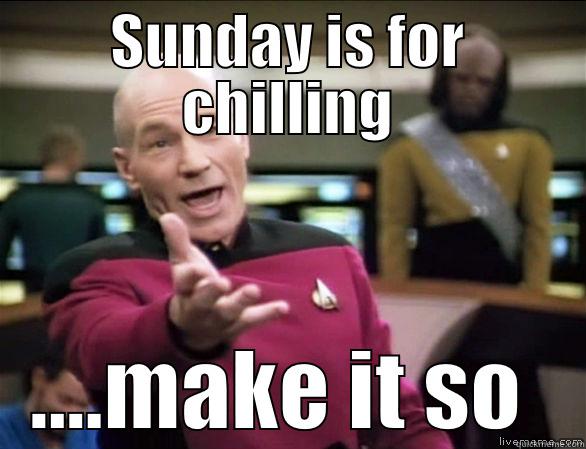 What Sunday's are for... - SUNDAY IS FOR CHILLING ....MAKE IT SO  Annoyed Picard HD