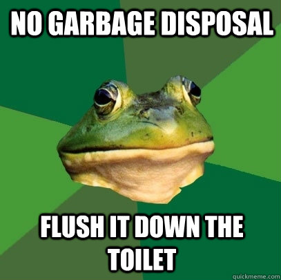 No garbage disposal flush it down the toilet  Foul Bachelor Frog