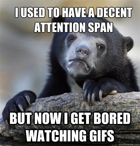 I used to have a decent attention span but now I get bored watching gifs  Confession Bear