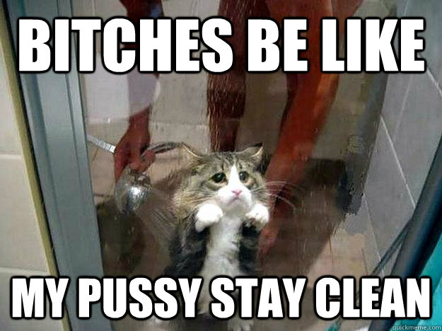 bitches be like my pussy stay clean - bitches be like my pussy stay clean  Shower kitty