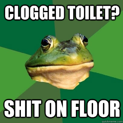 Clogged toilet? Shit on floor  Foul Bachelor Frog