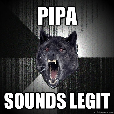 PIPA SOUNDS LEGIT  Bullets - Insanity wolf