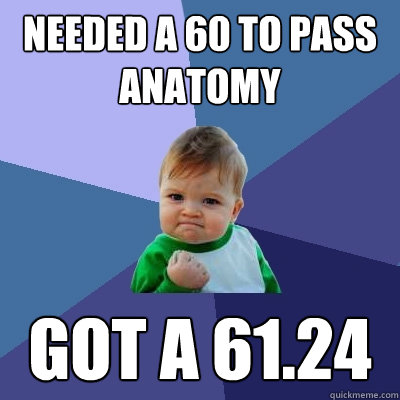 Needed a 60 to pass Anatomy got a 61.24  Success Kid