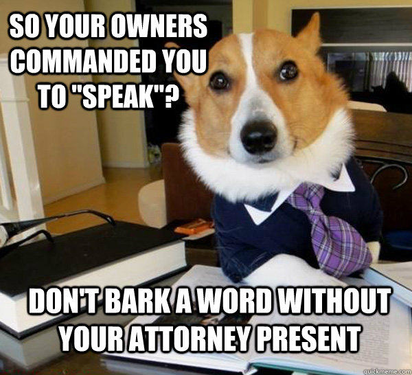 So your owners commanded you to 