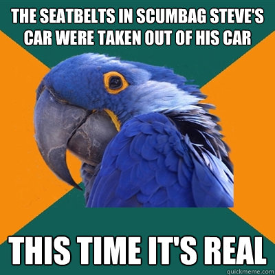 the seatbelts in Scumbag Steve's car were taken out of his car This time it's real   Paranoid Parrot