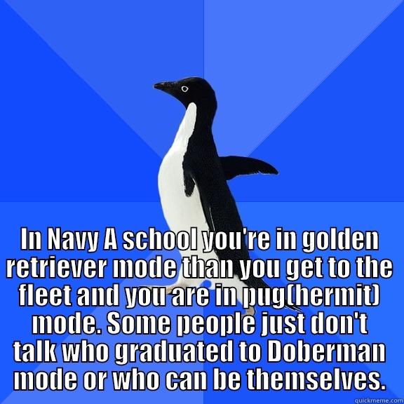  IN NAVY A SCHOOL YOU'RE IN GOLDEN RETRIEVER MODE THAN YOU GET TO THE FLEET AND YOU ARE IN PUG(HERMIT) MODE. SOME PEOPLE JUST DON'T TALK WHO GRADUATED TO DOBERMAN MODE OR WHO CAN BE THEMSELVES. Socially Awkward Penguin