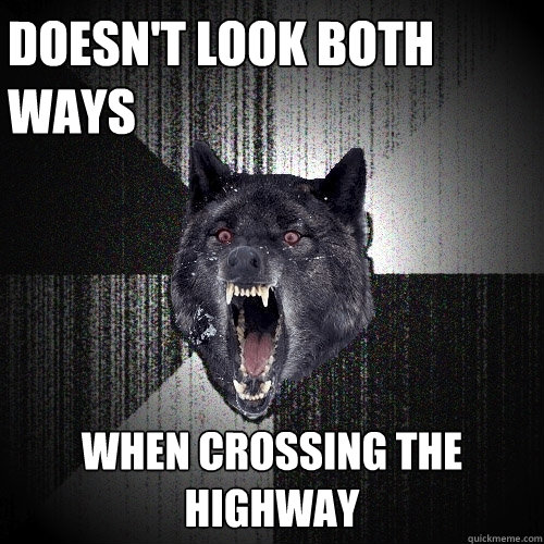 Doesn't look both ways When crossing the highway  Insanity Wolf