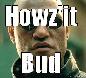 HOWZ'IT BUD Matrix Morpheus