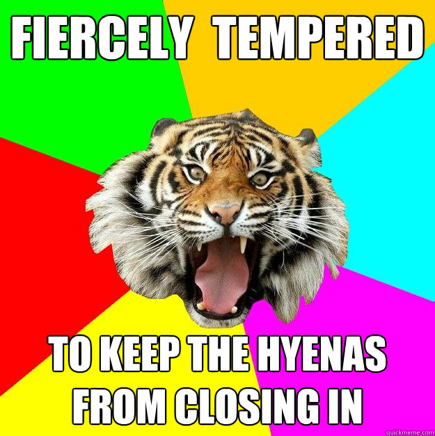 fiercely  tempered to keep the hyenas from closing in   Time of the Month Tiger