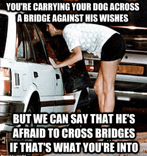 You're carrying your dog across a bridge against his wishes But we can say that he's afraid to cross bridges if that's what you're into  Karma Whore
