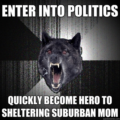 enter into politics quickly become hero to sheltering suburban mom  Insanity Wolf