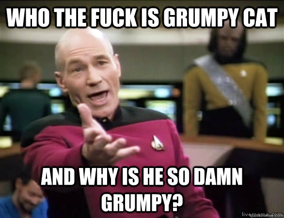 who the fuck is grumpy cat and why is he so damn grumpy?  Annoyed Picard HD