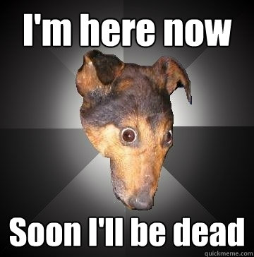I'm here now Soon I'll be dead  Depression Dog